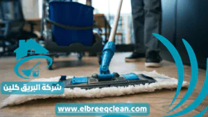 شركة تنظيف منازل بمكة شركة تنظيف منازل بمكة