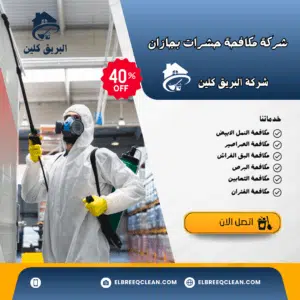 شركة مكافحة النمل الأبيض بجازان