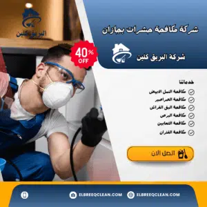 شركة مكافحة الصراصير بجازان