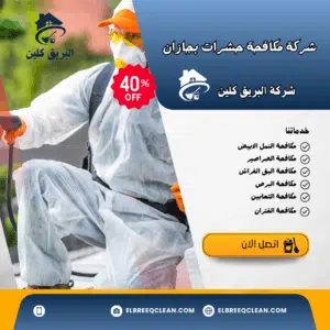 افضل شركة مكافحة حشرات بجازان