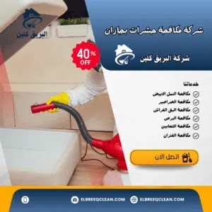 شركة مكافحة حشرات بجازان 