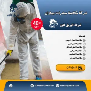 شركة رش حشرات بجازان