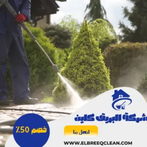 شركة تنظيف فلل بعفيف