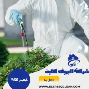 مكافحة حشرات بالباحة