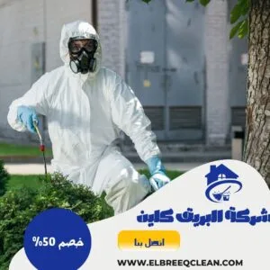 شركة رش مبيدات بالباحة