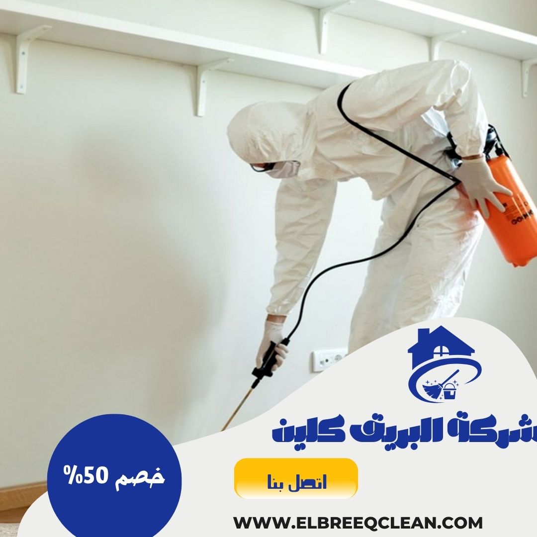 شركة مكافحة حشرات بالخرج | شركة البريق كلين